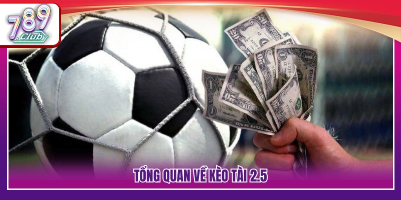 Vài nét về hình thức cược Tài 2.5 trong bóng đá